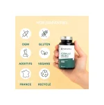 NOVOMA Formule Probio, Complexe Probiotique pour la Flore Intestinale, 60 Milliards UFC/Jour, 6 Souches Naturelles, Ferments Lactiques, 60 Gélules Vegan Gastro-Résistantes, Fabriqué en France