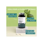 NOVOMA Formule Probio, Complexe Probiotique pour la Flore Intestinale, 60 Milliards UFC/Jour, 6 Souches Naturelles, Ferments Lactiques, 60 Gélules Vegan Gastro-Résistantes, Fabriqué en France